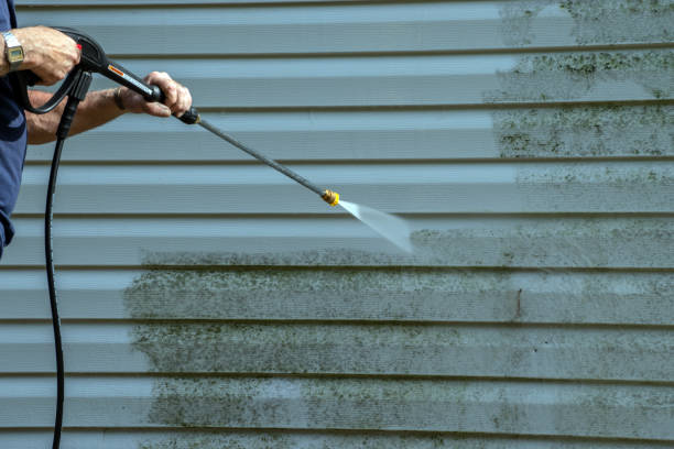 Best Patio and Deck Pressure Washing  in Holstein, IA