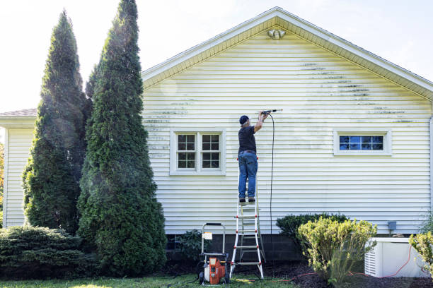 Best Graffiti Removal  in Holstein, IA